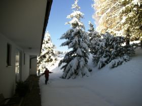 PICT0227.JPG